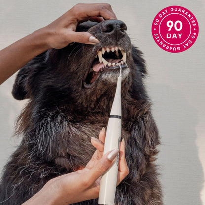 PediTales™- Dental Scaler for dogs