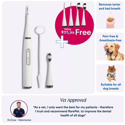 PediTales™- Dental Scaler for dogs