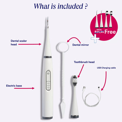 PediTales™- Dental Scaler for dogs